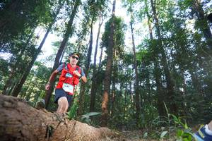 BIB: 1043
                            <button type="button" onclick="openModal(12980029)" class="btn btn-primary btn-sm float-right btn-popup" data-toggle="modal" data-target=".modal-high-quality">
                        <i class="fas fa-shopping-cart"></i> Add to Cart
                    </button>
                                            <button type="button" onclick="isThisMe(12980029, true)" class="btn btn-success btn-sm float-right btn-popup btn-isme hidden" data-toggle="tooltip" data-placement="bottom" title="นี่คือรูปของคุณใช่ไหม คลิกที่นี่เพื่อเอาเข้าอัลบั้ม">
                        <i class="fas fa-plus"></i> Add to album
                    </button>
                    <button type="button" onclick="isThisMe(12980029, false)" class="btn btn-warning btn-sm float-right btn-popup btn-isnotme hidden">
                        <i class="fas fa-ban"></i> Remove from album
                    </button>