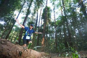 BIB: 
                            <button type="button" onclick="openModal(12980009)" class="btn btn-primary btn-sm float-right btn-popup" data-toggle="modal" data-target=".modal-high-quality">
                        <i class="fas fa-shopping-cart"></i> Add to Cart
                    </button>
                                            <button type="button" onclick="isThisMe(12980009, true)" class="btn btn-success btn-sm float-right btn-popup btn-isme hidden" data-toggle="tooltip" data-placement="bottom" title="นี่คือรูปของคุณใช่ไหม คลิกที่นี่เพื่อเอาเข้าอัลบั้ม">
                        <i class="fas fa-plus"></i> Add to album
                    </button>
                    <button type="button" onclick="isThisMe(12980009, false)" class="btn btn-warning btn-sm float-right btn-popup btn-isnotme hidden">
                        <i class="fas fa-ban"></i> Remove from album
                    </button>