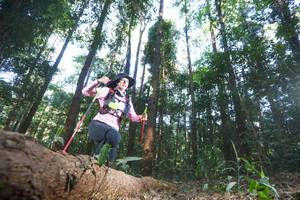 BIB: 
                            <button type="button" onclick="openModal(12980040)" class="btn btn-primary btn-sm float-right btn-popup" data-toggle="modal" data-target=".modal-high-quality">
                        <i class="fas fa-shopping-cart"></i> Add to Cart
                    </button>
                                            <button type="button" onclick="isThisMe(12980040, true)" class="btn btn-success btn-sm float-right btn-popup btn-isme hidden" data-toggle="tooltip" data-placement="bottom" title="นี่คือรูปของคุณใช่ไหม คลิกที่นี่เพื่อเอาเข้าอัลบั้ม">
                        <i class="fas fa-plus"></i> Add to album
                    </button>
                    <button type="button" onclick="isThisMe(12980040, false)" class="btn btn-warning btn-sm float-right btn-popup btn-isnotme hidden">
                        <i class="fas fa-ban"></i> Remove from album
                    </button>