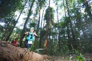 BIB: 1275
                            <button type="button" onclick="openModal(12980027)" class="btn btn-primary btn-sm float-right btn-popup" data-toggle="modal" data-target=".modal-high-quality">
                        <i class="fas fa-shopping-cart"></i> Add to Cart
                    </button>
                                            <button type="button" onclick="isThisMe(12980027, true)" class="btn btn-success btn-sm float-right btn-popup btn-isme hidden" data-toggle="tooltip" data-placement="bottom" title="นี่คือรูปของคุณใช่ไหม คลิกที่นี่เพื่อเอาเข้าอัลบั้ม">
                        <i class="fas fa-plus"></i> Add to album
                    </button>
                    <button type="button" onclick="isThisMe(12980027, false)" class="btn btn-warning btn-sm float-right btn-popup btn-isnotme hidden">
                        <i class="fas fa-ban"></i> Remove from album
                    </button>