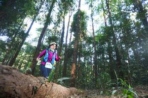 BIB: 
                            <button type="button" onclick="openModal(12980036)" class="btn btn-primary btn-sm float-right btn-popup" data-toggle="modal" data-target=".modal-high-quality">
                        <i class="fas fa-shopping-cart"></i> Add to Cart
                    </button>
                                            <button type="button" onclick="isThisMe(12980036, true)" class="btn btn-success btn-sm float-right btn-popup btn-isme hidden" data-toggle="tooltip" data-placement="bottom" title="นี่คือรูปของคุณใช่ไหม คลิกที่นี่เพื่อเอาเข้าอัลบั้ม">
                        <i class="fas fa-plus"></i> Add to album
                    </button>
                    <button type="button" onclick="isThisMe(12980036, false)" class="btn btn-warning btn-sm float-right btn-popup btn-isnotme hidden">
                        <i class="fas fa-ban"></i> Remove from album
                    </button>