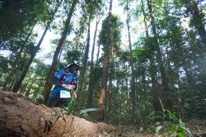 BIB: 1116
                            <button type="button" onclick="openModal(12980034)" class="btn btn-primary btn-sm float-right btn-popup" data-toggle="modal" data-target=".modal-high-quality">
                        <i class="fas fa-shopping-cart"></i> Add to Cart
                    </button>
                                            <button type="button" onclick="isThisMe(12980034, true)" class="btn btn-success btn-sm float-right btn-popup btn-isme hidden" data-toggle="tooltip" data-placement="bottom" title="นี่คือรูปของคุณใช่ไหม คลิกที่นี่เพื่อเอาเข้าอัลบั้ม">
                        <i class="fas fa-plus"></i> Add to album
                    </button>
                    <button type="button" onclick="isThisMe(12980034, false)" class="btn btn-warning btn-sm float-right btn-popup btn-isnotme hidden">
                        <i class="fas fa-ban"></i> Remove from album
                    </button>