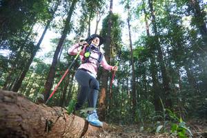 BIB: 
                            <button type="button" onclick="openModal(12980043)" class="btn btn-primary btn-sm float-right btn-popup" data-toggle="modal" data-target=".modal-high-quality">
                        <i class="fas fa-shopping-cart"></i> Add to Cart
                    </button>
                                            <button type="button" onclick="isThisMe(12980043, true)" class="btn btn-success btn-sm float-right btn-popup btn-isme hidden" data-toggle="tooltip" data-placement="bottom" title="นี่คือรูปของคุณใช่ไหม คลิกที่นี่เพื่อเอาเข้าอัลบั้ม">
                        <i class="fas fa-plus"></i> Add to album
                    </button>
                    <button type="button" onclick="isThisMe(12980043, false)" class="btn btn-warning btn-sm float-right btn-popup btn-isnotme hidden">
                        <i class="fas fa-ban"></i> Remove from album
                    </button>