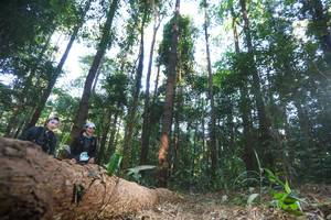 BIB: 
                            <button type="button" onclick="openModal(12979990)" class="btn btn-primary btn-sm float-right btn-popup" data-toggle="modal" data-target=".modal-high-quality">
                        <i class="fas fa-shopping-cart"></i> Add to Cart
                    </button>
                                            <button type="button" onclick="isThisMe(12979990, true)" class="btn btn-success btn-sm float-right btn-popup btn-isme hidden" data-toggle="tooltip" data-placement="bottom" title="นี่คือรูปของคุณใช่ไหม คลิกที่นี่เพื่อเอาเข้าอัลบั้ม">
                        <i class="fas fa-plus"></i> Add to album
                    </button>
                    <button type="button" onclick="isThisMe(12979990, false)" class="btn btn-warning btn-sm float-right btn-popup btn-isnotme hidden">
                        <i class="fas fa-ban"></i> Remove from album
                    </button>