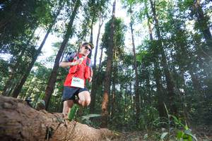 BIB: 1043
                            <button type="button" onclick="openModal(12980030)" class="btn btn-primary btn-sm float-right btn-popup" data-toggle="modal" data-target=".modal-high-quality">
                        <i class="fas fa-shopping-cart"></i> Add to Cart
                    </button>
                                            <button type="button" onclick="isThisMe(12980030, true)" class="btn btn-success btn-sm float-right btn-popup btn-isme hidden" data-toggle="tooltip" data-placement="bottom" title="นี่คือรูปของคุณใช่ไหม คลิกที่นี่เพื่อเอาเข้าอัลบั้ม">
                        <i class="fas fa-plus"></i> Add to album
                    </button>
                    <button type="button" onclick="isThisMe(12980030, false)" class="btn btn-warning btn-sm float-right btn-popup btn-isnotme hidden">
                        <i class="fas fa-ban"></i> Remove from album
                    </button>