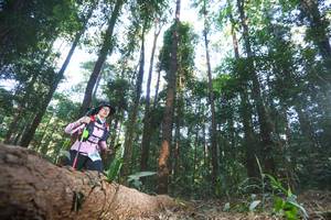 BIB: 
                            <button type="button" onclick="openModal(12980041)" class="btn btn-primary btn-sm float-right btn-popup" data-toggle="modal" data-target=".modal-high-quality">
                        <i class="fas fa-shopping-cart"></i> Add to Cart
                    </button>
                                            <button type="button" onclick="isThisMe(12980041, true)" class="btn btn-success btn-sm float-right btn-popup btn-isme hidden" data-toggle="tooltip" data-placement="bottom" title="นี่คือรูปของคุณใช่ไหม คลิกที่นี่เพื่อเอาเข้าอัลบั้ม">
                        <i class="fas fa-plus"></i> Add to album
                    </button>
                    <button type="button" onclick="isThisMe(12980041, false)" class="btn btn-warning btn-sm float-right btn-popup btn-isnotme hidden">
                        <i class="fas fa-ban"></i> Remove from album
                    </button>