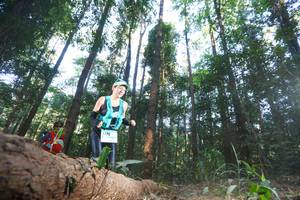 BIB: 1275
                            <button type="button" onclick="openModal(12980028)" class="btn btn-primary btn-sm float-right btn-popup" data-toggle="modal" data-target=".modal-high-quality">
                        <i class="fas fa-shopping-cart"></i> Add to Cart
                    </button>
                                            <button type="button" onclick="isThisMe(12980028, true)" class="btn btn-success btn-sm float-right btn-popup btn-isme hidden" data-toggle="tooltip" data-placement="bottom" title="นี่คือรูปของคุณใช่ไหม คลิกที่นี่เพื่อเอาเข้าอัลบั้ม">
                        <i class="fas fa-plus"></i> Add to album
                    </button>
                    <button type="button" onclick="isThisMe(12980028, false)" class="btn btn-warning btn-sm float-right btn-popup btn-isnotme hidden">
                        <i class="fas fa-ban"></i> Remove from album
                    </button>