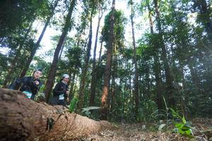 BIB: 
                            <button type="button" onclick="openModal(12979991)" class="btn btn-primary btn-sm float-right btn-popup" data-toggle="modal" data-target=".modal-high-quality">
                        <i class="fas fa-shopping-cart"></i> Add to Cart
                    </button>
                                            <button type="button" onclick="isThisMe(12979991, true)" class="btn btn-success btn-sm float-right btn-popup btn-isme hidden" data-toggle="tooltip" data-placement="bottom" title="นี่คือรูปของคุณใช่ไหม คลิกที่นี่เพื่อเอาเข้าอัลบั้ม">
                        <i class="fas fa-plus"></i> Add to album
                    </button>
                    <button type="button" onclick="isThisMe(12979991, false)" class="btn btn-warning btn-sm float-right btn-popup btn-isnotme hidden">
                        <i class="fas fa-ban"></i> Remove from album
                    </button>