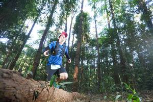 BIB: 1073
                            <button type="button" onclick="openModal(12980016)" class="btn btn-primary btn-sm float-right btn-popup" data-toggle="modal" data-target=".modal-high-quality">
                        <i class="fas fa-shopping-cart"></i> Add to Cart
                    </button>
                                            <button type="button" onclick="isThisMe(12980016, true)" class="btn btn-success btn-sm float-right btn-popup btn-isme hidden" data-toggle="tooltip" data-placement="bottom" title="นี่คือรูปของคุณใช่ไหม คลิกที่นี่เพื่อเอาเข้าอัลบั้ม">
                        <i class="fas fa-plus"></i> Add to album
                    </button>
                    <button type="button" onclick="isThisMe(12980016, false)" class="btn btn-warning btn-sm float-right btn-popup btn-isnotme hidden">
                        <i class="fas fa-ban"></i> Remove from album
                    </button>