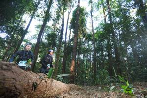 BIB: 1417
                            <button type="button" onclick="openModal(12979992)" class="btn btn-primary btn-sm float-right btn-popup" data-toggle="modal" data-target=".modal-high-quality">
                        <i class="fas fa-shopping-cart"></i> Add to Cart
                    </button>
                                            <button type="button" onclick="isThisMe(12979992, true)" class="btn btn-success btn-sm float-right btn-popup btn-isme hidden" data-toggle="tooltip" data-placement="bottom" title="นี่คือรูปของคุณใช่ไหม คลิกที่นี่เพื่อเอาเข้าอัลบั้ม">
                        <i class="fas fa-plus"></i> Add to album
                    </button>
                    <button type="button" onclick="isThisMe(12979992, false)" class="btn btn-warning btn-sm float-right btn-popup btn-isnotme hidden">
                        <i class="fas fa-ban"></i> Remove from album
                    </button>