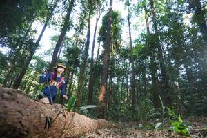 BIB: 
                            <button type="button" onclick="openModal(12979985)" class="btn btn-primary btn-sm float-right btn-popup" data-toggle="modal" data-target=".modal-high-quality">
                        <i class="fas fa-shopping-cart"></i> Add to Cart
                    </button>
                                            <button type="button" onclick="isThisMe(12979985, true)" class="btn btn-success btn-sm float-right btn-popup btn-isme hidden" data-toggle="tooltip" data-placement="bottom" title="นี่คือรูปของคุณใช่ไหม คลิกที่นี่เพื่อเอาเข้าอัลบั้ม">
                        <i class="fas fa-plus"></i> Add to album
                    </button>
                    <button type="button" onclick="isThisMe(12979985, false)" class="btn btn-warning btn-sm float-right btn-popup btn-isnotme hidden">
                        <i class="fas fa-ban"></i> Remove from album
                    </button>