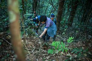 BIB: 
                            <button type="button" onclick="openModal(12971442)" class="btn btn-primary btn-sm float-right btn-popup" data-toggle="modal" data-target=".modal-high-quality">
                        <i class="fas fa-shopping-cart"></i> Add to Cart
                    </button>
                                            <button type="button" onclick="isThisMe(12971442, true)" class="btn btn-success btn-sm float-right btn-popup btn-isme hidden" data-toggle="tooltip" data-placement="bottom" title="นี่คือรูปของคุณใช่ไหม คลิกที่นี่เพื่อเอาเข้าอัลบั้ม">
                        <i class="fas fa-plus"></i> Add to album
                    </button>
                    <button type="button" onclick="isThisMe(12971442, false)" class="btn btn-warning btn-sm float-right btn-popup btn-isnotme hidden">
                        <i class="fas fa-ban"></i> Remove from album
                    </button>