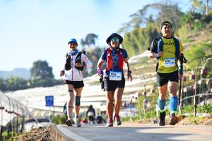 BIB: 3132, 3193
                            <button type="button" onclick="openModal(12985844)" class="btn btn-primary btn-sm float-right btn-popup" data-toggle="modal" data-target=".modal-high-quality">
                        <i class="fas fa-shopping-cart"></i> Add to Cart
                    </button>
                                            <button type="button" onclick="isThisMe(12985844, true)" class="btn btn-success btn-sm float-right btn-popup btn-isme hidden" data-toggle="tooltip" data-placement="bottom" title="นี่คือรูปของคุณใช่ไหม คลิกที่นี่เพื่อเอาเข้าอัลบั้ม">
                        <i class="fas fa-plus"></i> Add to album
                    </button>
                    <button type="button" onclick="isThisMe(12985844, false)" class="btn btn-warning btn-sm float-right btn-popup btn-isnotme hidden">
                        <i class="fas fa-ban"></i> Remove from album
                    </button>