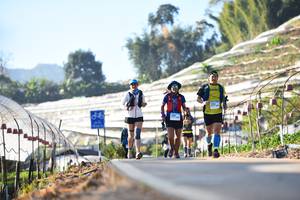 BIB: 
                            <button type="button" onclick="openModal(12985836)" class="btn btn-primary btn-sm float-right btn-popup" data-toggle="modal" data-target=".modal-high-quality">
                        <i class="fas fa-shopping-cart"></i> Add to Cart
                    </button>
                                            <button type="button" onclick="isThisMe(12985836, true)" class="btn btn-success btn-sm float-right btn-popup btn-isme hidden" data-toggle="tooltip" data-placement="bottom" title="นี่คือรูปของคุณใช่ไหม คลิกที่นี่เพื่อเอาเข้าอัลบั้ม">
                        <i class="fas fa-plus"></i> Add to album
                    </button>
                    <button type="button" onclick="isThisMe(12985836, false)" class="btn btn-warning btn-sm float-right btn-popup btn-isnotme hidden">
                        <i class="fas fa-ban"></i> Remove from album
                    </button>