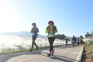 BIB: 224
                            <button type="button" onclick="openModal(12979282)" class="btn btn-primary btn-sm float-right btn-popup" data-toggle="modal" data-target=".modal-high-quality">
                        <i class="fas fa-shopping-cart"></i> Add to Cart
                    </button>
                                            <button type="button" onclick="isThisMe(12979282, true)" class="btn btn-success btn-sm float-right btn-popup btn-isme hidden" data-toggle="tooltip" data-placement="bottom" title="นี่คือรูปของคุณใช่ไหม คลิกที่นี่เพื่อเอาเข้าอัลบั้ม">
                        <i class="fas fa-plus"></i> Add to album
                    </button>
                    <button type="button" onclick="isThisMe(12979282, false)" class="btn btn-warning btn-sm float-right btn-popup btn-isnotme hidden">
                        <i class="fas fa-ban"></i> Remove from album
                    </button>