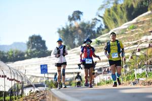 BIB: 3195
                            <button type="button" onclick="openModal(12985838)" class="btn btn-primary btn-sm float-right btn-popup" data-toggle="modal" data-target=".modal-high-quality">
                        <i class="fas fa-shopping-cart"></i> Add to Cart
                    </button>
                                            <button type="button" onclick="isThisMe(12985838, true)" class="btn btn-success btn-sm float-right btn-popup btn-isme hidden" data-toggle="tooltip" data-placement="bottom" title="นี่คือรูปของคุณใช่ไหม คลิกที่นี่เพื่อเอาเข้าอัลบั้ม">
                        <i class="fas fa-plus"></i> Add to album
                    </button>
                    <button type="button" onclick="isThisMe(12985838, false)" class="btn btn-warning btn-sm float-right btn-popup btn-isnotme hidden">
                        <i class="fas fa-ban"></i> Remove from album
                    </button>