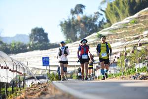 BIB: 
                            <button type="button" onclick="openModal(12985837)" class="btn btn-primary btn-sm float-right btn-popup" data-toggle="modal" data-target=".modal-high-quality">
                        <i class="fas fa-shopping-cart"></i> Add to Cart
                    </button>
                                            <button type="button" onclick="isThisMe(12985837, true)" class="btn btn-success btn-sm float-right btn-popup btn-isme hidden" data-toggle="tooltip" data-placement="bottom" title="นี่คือรูปของคุณใช่ไหม คลิกที่นี่เพื่อเอาเข้าอัลบั้ม">
                        <i class="fas fa-plus"></i> Add to album
                    </button>
                    <button type="button" onclick="isThisMe(12985837, false)" class="btn btn-warning btn-sm float-right btn-popup btn-isnotme hidden">
                        <i class="fas fa-ban"></i> Remove from album
                    </button>