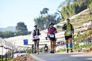 BIB: 
                            <button type="button" onclick="openModal(12985840)" class="btn btn-primary btn-sm float-right btn-popup" data-toggle="modal" data-target=".modal-high-quality">
                        <i class="fas fa-shopping-cart"></i> Add to Cart
                    </button>
                                            <button type="button" onclick="isThisMe(12985840, true)" class="btn btn-success btn-sm float-right btn-popup btn-isme hidden" data-toggle="tooltip" data-placement="bottom" title="นี่คือรูปของคุณใช่ไหม คลิกที่นี่เพื่อเอาเข้าอัลบั้ม">
                        <i class="fas fa-plus"></i> Add to album
                    </button>
                    <button type="button" onclick="isThisMe(12985840, false)" class="btn btn-warning btn-sm float-right btn-popup btn-isnotme hidden">
                        <i class="fas fa-ban"></i> Remove from album
                    </button>