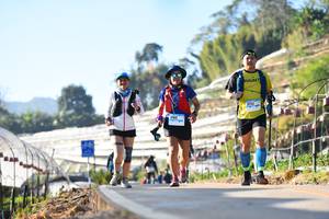 BIB: 132, 3193
                            <button type="button" onclick="openModal(12985842)" class="btn btn-primary btn-sm float-right btn-popup" data-toggle="modal" data-target=".modal-high-quality">
                        <i class="fas fa-shopping-cart"></i> Add to Cart
                    </button>
                                            <button type="button" onclick="isThisMe(12985842, true)" class="btn btn-success btn-sm float-right btn-popup btn-isme hidden" data-toggle="tooltip" data-placement="bottom" title="นี่คือรูปของคุณใช่ไหม คลิกที่นี่เพื่อเอาเข้าอัลบั้ม">
                        <i class="fas fa-plus"></i> Add to album
                    </button>
                    <button type="button" onclick="isThisMe(12985842, false)" class="btn btn-warning btn-sm float-right btn-popup btn-isnotme hidden">
                        <i class="fas fa-ban"></i> Remove from album
                    </button>