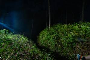 BIB: 
                            <button type="button" onclick="openModal(18340290)" class="btn btn-primary btn-sm float-right btn-popup" data-toggle="modal" data-target=".modal-high-quality">
                        <i class="fas fa-shopping-cart"></i> Add to Cart
                    </button>
                                            <button type="button" onclick="isThisMe(18340290, true)" class="btn btn-success btn-sm float-right btn-popup btn-isme hidden" data-toggle="tooltip" data-placement="bottom" title="นี่คือรูปของคุณใช่ไหม คลิกที่นี่เพื่อเอาเข้าอัลบั้ม">
                        <i class="fas fa-plus"></i> Add to album
                    </button>
                    <button type="button" onclick="isThisMe(18340290, false)" class="btn btn-warning btn-sm float-right btn-popup btn-isnotme hidden">
                        <i class="fas fa-ban"></i> Remove from album
                    </button>