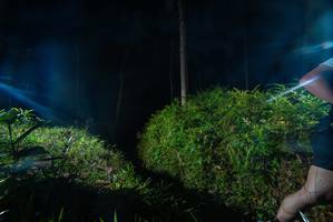 BIB: 
                            <button type="button" onclick="openModal(18340289)" class="btn btn-primary btn-sm float-right btn-popup" data-toggle="modal" data-target=".modal-high-quality">
                        <i class="fas fa-shopping-cart"></i> Add to Cart
                    </button>
                                            <button type="button" onclick="isThisMe(18340289, true)" class="btn btn-success btn-sm float-right btn-popup btn-isme hidden" data-toggle="tooltip" data-placement="bottom" title="นี่คือรูปของคุณใช่ไหม คลิกที่นี่เพื่อเอาเข้าอัลบั้ม">
                        <i class="fas fa-plus"></i> Add to album
                    </button>
                    <button type="button" onclick="isThisMe(18340289, false)" class="btn btn-warning btn-sm float-right btn-popup btn-isnotme hidden">
                        <i class="fas fa-ban"></i> Remove from album
                    </button>