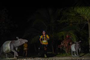 BIB: 
                            <button type="button" onclick="openModal(18318778)" class="btn btn-primary btn-sm float-right btn-popup" data-toggle="modal" data-target=".modal-high-quality">
                        <i class="fas fa-shopping-cart"></i> Add to Cart
                    </button>
                                            <button type="button" onclick="isThisMe(18318778, true)" class="btn btn-success btn-sm float-right btn-popup btn-isme hidden" data-toggle="tooltip" data-placement="bottom" title="นี่คือรูปของคุณใช่ไหม คลิกที่นี่เพื่อเอาเข้าอัลบั้ม">
                        <i class="fas fa-plus"></i> Add to album
                    </button>
                    <button type="button" onclick="isThisMe(18318778, false)" class="btn btn-warning btn-sm float-right btn-popup btn-isnotme hidden">
                        <i class="fas fa-ban"></i> Remove from album
                    </button>