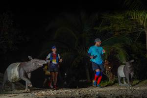 BIB: 
                            <button type="button" onclick="openModal(18318521)" class="btn btn-primary btn-sm float-right btn-popup" data-toggle="modal" data-target=".modal-high-quality">
                        <i class="fas fa-shopping-cart"></i> Add to Cart
                    </button>
                                            <button type="button" onclick="isThisMe(18318521, true)" class="btn btn-success btn-sm float-right btn-popup btn-isme hidden" data-toggle="tooltip" data-placement="bottom" title="นี่คือรูปของคุณใช่ไหม คลิกที่นี่เพื่อเอาเข้าอัลบั้ม">
                        <i class="fas fa-plus"></i> Add to album
                    </button>
                    <button type="button" onclick="isThisMe(18318521, false)" class="btn btn-warning btn-sm float-right btn-popup btn-isnotme hidden">
                        <i class="fas fa-ban"></i> Remove from album
                    </button>