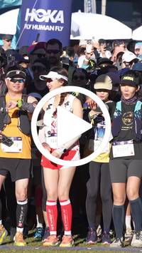 BIB:  <button type="button" onclick="openModal(26568873)" class="btn btn-primary btn-sm float-right" data-toggle="modal" data-target=".modal-high-quality">
                <i class="fa fa-download"></i> Download
                </button>