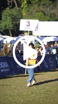 BIB:  <button type="button" onclick="openModal(26568867)" class="btn btn-primary btn-sm float-right" data-toggle="modal" data-target=".modal-high-quality">
                <i class="fa fa-download"></i> Download
                </button>