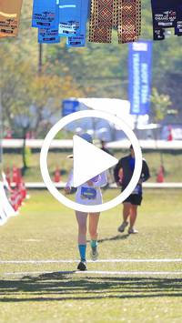 BIB:  <button type="button" onclick="openModal(26788232)" class="btn btn-primary btn-sm float-right" data-toggle="modal" data-target=".modal-high-quality">
                <i class="fa fa-download"></i> Download
                </button>