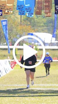 BIB:  <button type="button" onclick="openModal(26788249)" class="btn btn-primary btn-sm float-right" data-toggle="modal" data-target=".modal-high-quality">
                <i class="fa fa-download"></i> Download
                </button>