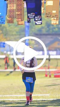 BIB:  <button type="button" onclick="openModal(26788261)" class="btn btn-primary btn-sm float-right" data-toggle="modal" data-target=".modal-high-quality">
                <i class="fa fa-download"></i> Download
                </button>