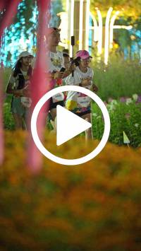 BIB:  <button type="button" onclick="openModal(27822619)" class="btn btn-primary btn-sm float-right" data-toggle="modal" data-target=".modal-high-quality">
                <i class="fa fa-download"></i> Download
                </button>