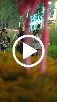 BIB:  <button type="button" onclick="openModal(27822625)" class="btn btn-primary btn-sm float-right" data-toggle="modal" data-target=".modal-high-quality">
                <i class="fa fa-download"></i> Download
                </button>