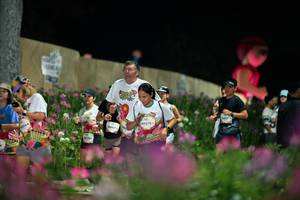 BIB: 
                            <button type="button" onclick="openModal(26834471)" class="btn btn-primary btn-sm float-right btn-popup" data-toggle="modal" data-target=".modal-high-quality">
                        <i class="fas fa-shopping-cart"></i> Add to Cart
                    </button>
                                            <button type="button" onclick="isThisMe(26834471, true)" class="btn btn-success btn-sm float-right btn-popup btn-isme hidden" data-toggle="tooltip" data-placement="bottom" title="นี่คือรูปของคุณใช่ไหม คลิกที่นี่เพื่อเอาเข้าอัลบั้ม">
                        <i class="fas fa-plus"></i> Add to album
                    </button>
                    <button type="button" onclick="isThisMe(26834471, false)" class="btn btn-warning btn-sm float-right btn-popup btn-isnotme hidden">
                        <i class="fas fa-ban"></i> Remove from album
                    </button>