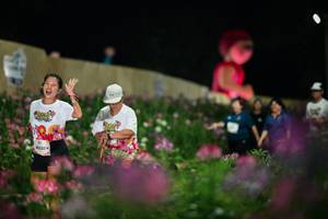 BIB: 
                            <button type="button" onclick="openModal(26834763)" class="btn btn-primary btn-sm float-right btn-popup" data-toggle="modal" data-target=".modal-high-quality">
                        <i class="fas fa-shopping-cart"></i> Add to Cart
                    </button>
                                            <button type="button" onclick="isThisMe(26834763, true)" class="btn btn-success btn-sm float-right btn-popup btn-isme hidden" data-toggle="tooltip" data-placement="bottom" title="นี่คือรูปของคุณใช่ไหม คลิกที่นี่เพื่อเอาเข้าอัลบั้ม">
                        <i class="fas fa-plus"></i> Add to album
                    </button>
                    <button type="button" onclick="isThisMe(26834763, false)" class="btn btn-warning btn-sm float-right btn-popup btn-isnotme hidden">
                        <i class="fas fa-ban"></i> Remove from album
                    </button>