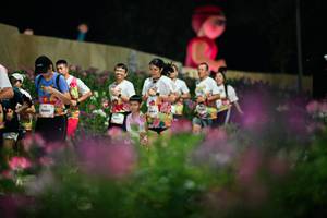 BIB: 
                            <button type="button" onclick="openModal(26834666)" class="btn btn-primary btn-sm float-right btn-popup" data-toggle="modal" data-target=".modal-high-quality">
                        <i class="fas fa-shopping-cart"></i> Add to Cart
                    </button>
                                            <button type="button" onclick="isThisMe(26834666, true)" class="btn btn-success btn-sm float-right btn-popup btn-isme hidden" data-toggle="tooltip" data-placement="bottom" title="นี่คือรูปของคุณใช่ไหม คลิกที่นี่เพื่อเอาเข้าอัลบั้ม">
                        <i class="fas fa-plus"></i> Add to album
                    </button>
                    <button type="button" onclick="isThisMe(26834666, false)" class="btn btn-warning btn-sm float-right btn-popup btn-isnotme hidden">
                        <i class="fas fa-ban"></i> Remove from album
                    </button>