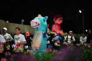 BIB: 
                            <button type="button" onclick="openModal(26834611)" class="btn btn-primary btn-sm float-right btn-popup" data-toggle="modal" data-target=".modal-high-quality">
                        <i class="fas fa-shopping-cart"></i> Add to Cart
                    </button>
                                            <button type="button" onclick="isThisMe(26834611, true)" class="btn btn-success btn-sm float-right btn-popup btn-isme hidden" data-toggle="tooltip" data-placement="bottom" title="นี่คือรูปของคุณใช่ไหม คลิกที่นี่เพื่อเอาเข้าอัลบั้ม">
                        <i class="fas fa-plus"></i> Add to album
                    </button>
                    <button type="button" onclick="isThisMe(26834611, false)" class="btn btn-warning btn-sm float-right btn-popup btn-isnotme hidden">
                        <i class="fas fa-ban"></i> Remove from album
                    </button>