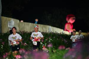 BIB: 
                            <button type="button" onclick="openModal(26834464)" class="btn btn-primary btn-sm float-right btn-popup" data-toggle="modal" data-target=".modal-high-quality">
                        <i class="fas fa-shopping-cart"></i> Add to Cart
                    </button>
                                            <button type="button" onclick="isThisMe(26834464, true)" class="btn btn-success btn-sm float-right btn-popup btn-isme hidden" data-toggle="tooltip" data-placement="bottom" title="นี่คือรูปของคุณใช่ไหม คลิกที่นี่เพื่อเอาเข้าอัลบั้ม">
                        <i class="fas fa-plus"></i> Add to album
                    </button>
                    <button type="button" onclick="isThisMe(26834464, false)" class="btn btn-warning btn-sm float-right btn-popup btn-isnotme hidden">
                        <i class="fas fa-ban"></i> Remove from album
                    </button>