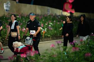 BIB: 
                            <button type="button" onclick="openModal(26834865)" class="btn btn-primary btn-sm float-right btn-popup" data-toggle="modal" data-target=".modal-high-quality">
                        <i class="fas fa-shopping-cart"></i> Add to Cart
                    </button>
                                            <button type="button" onclick="isThisMe(26834865, true)" class="btn btn-success btn-sm float-right btn-popup btn-isme hidden" data-toggle="tooltip" data-placement="bottom" title="นี่คือรูปของคุณใช่ไหม คลิกที่นี่เพื่อเอาเข้าอัลบั้ม">
                        <i class="fas fa-plus"></i> Add to album
                    </button>
                    <button type="button" onclick="isThisMe(26834865, false)" class="btn btn-warning btn-sm float-right btn-popup btn-isnotme hidden">
                        <i class="fas fa-ban"></i> Remove from album
                    </button>