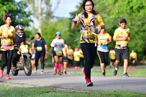 BIB: 178
                            <button type="button" onclick="openModal(5146102)" class="btn btn-primary btn-sm float-right btn-popup" data-toggle="modal" data-target=".modal-high-quality">
                        <i class="fas fa-shopping-cart"></i> Add to Cart
                    </button>
                                            <button type="button" onclick="isThisMe(5146102, true)" class="btn btn-success btn-sm float-right btn-popup btn-isme hidden" data-toggle="tooltip" data-placement="bottom" title="นี่คือรูปของคุณใช่ไหม คลิกที่นี่เพื่อเอาเข้าอัลบั้ม">
                        <i class="fas fa-plus"></i> Add to album
                    </button>
                    <button type="button" onclick="isThisMe(5146102, false)" class="btn btn-warning btn-sm float-right btn-popup btn-isnotme hidden">
                        <i class="fas fa-ban"></i> Remove from album
                    </button>