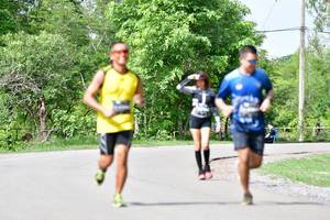 BIB: 
                            <button type="button" onclick="openModal(5148196)" class="btn btn-primary btn-sm float-right btn-popup" data-toggle="modal" data-target=".modal-high-quality">
                        <i class="fas fa-shopping-cart"></i> Add to Cart
                    </button>
                                            <button type="button" onclick="isThisMe(5148196, true)" class="btn btn-success btn-sm float-right btn-popup btn-isme hidden" data-toggle="tooltip" data-placement="bottom" title="นี่คือรูปของคุณใช่ไหม คลิกที่นี่เพื่อเอาเข้าอัลบั้ม">
                        <i class="fas fa-plus"></i> Add to album
                    </button>
                    <button type="button" onclick="isThisMe(5148196, false)" class="btn btn-warning btn-sm float-right btn-popup btn-isnotme hidden">
                        <i class="fas fa-ban"></i> Remove from album
                    </button>