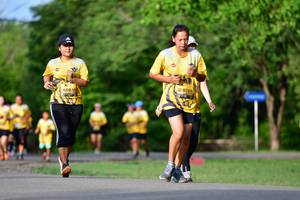 BIB: 0785, 0045
                            <button type="button" onclick="openModal(5146245)" class="btn btn-primary btn-sm float-right btn-popup" data-toggle="modal" data-target=".modal-high-quality">
                        <i class="fas fa-shopping-cart"></i> Add to Cart
                    </button>
                                            <button type="button" onclick="isThisMe(5146245, true)" class="btn btn-success btn-sm float-right btn-popup btn-isme hidden" data-toggle="tooltip" data-placement="bottom" title="นี่คือรูปของคุณใช่ไหม คลิกที่นี่เพื่อเอาเข้าอัลบั้ม">
                        <i class="fas fa-plus"></i> Add to album
                    </button>
                    <button type="button" onclick="isThisMe(5146245, false)" class="btn btn-warning btn-sm float-right btn-popup btn-isnotme hidden">
                        <i class="fas fa-ban"></i> Remove from album
                    </button>