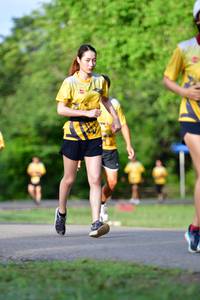 BIB: 
                            <button type="button" onclick="openModal(5144879)" class="btn btn-primary btn-sm float-right btn-popup" data-toggle="modal" data-target=".modal-high-quality">
                        <i class="fas fa-shopping-cart"></i> Add to Cart
                    </button>
                                            <button type="button" onclick="isThisMe(5144879, true)" class="btn btn-success btn-sm float-right btn-popup btn-isme hidden" data-toggle="tooltip" data-placement="bottom" title="นี่คือรูปของคุณใช่ไหม คลิกที่นี่เพื่อเอาเข้าอัลบั้ม">
                        <i class="fas fa-plus"></i> Add to album
                    </button>
                    <button type="button" onclick="isThisMe(5144879, false)" class="btn btn-warning btn-sm float-right btn-popup btn-isnotme hidden">
                        <i class="fas fa-ban"></i> Remove from album
                    </button>