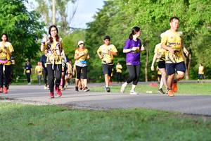 BIB: 
                            <button type="button" onclick="openModal(5146110)" class="btn btn-primary btn-sm float-right btn-popup" data-toggle="modal" data-target=".modal-high-quality">
                        <i class="fas fa-shopping-cart"></i> Add to Cart
                    </button>
                                            <button type="button" onclick="isThisMe(5146110, true)" class="btn btn-success btn-sm float-right btn-popup btn-isme hidden" data-toggle="tooltip" data-placement="bottom" title="นี่คือรูปของคุณใช่ไหม คลิกที่นี่เพื่อเอาเข้าอัลบั้ม">
                        <i class="fas fa-plus"></i> Add to album
                    </button>
                    <button type="button" onclick="isThisMe(5146110, false)" class="btn btn-warning btn-sm float-right btn-popup btn-isnotme hidden">
                        <i class="fas fa-ban"></i> Remove from album
                    </button>