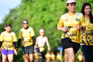 BIB: 0715, 080
                            <button type="button" onclick="openModal(5145607)" class="btn btn-primary btn-sm float-right btn-popup" data-toggle="modal" data-target=".modal-high-quality">
                        <i class="fas fa-shopping-cart"></i> Add to Cart
                    </button>
                                            <button type="button" onclick="isThisMe(5145607, true)" class="btn btn-success btn-sm float-right btn-popup btn-isme hidden" data-toggle="tooltip" data-placement="bottom" title="นี่คือรูปของคุณใช่ไหม คลิกที่นี่เพื่อเอาเข้าอัลบั้ม">
                        <i class="fas fa-plus"></i> Add to album
                    </button>
                    <button type="button" onclick="isThisMe(5145607, false)" class="btn btn-warning btn-sm float-right btn-popup btn-isnotme hidden">
                        <i class="fas fa-ban"></i> Remove from album
                    </button>