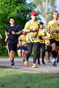 BIB: 0331
                            <button type="button" onclick="openModal(5144703)" class="btn btn-primary btn-sm float-right btn-popup" data-toggle="modal" data-target=".modal-high-quality">
                        <i class="fas fa-shopping-cart"></i> Add to Cart
                    </button>
                                            <button type="button" onclick="isThisMe(5144703, true)" class="btn btn-success btn-sm float-right btn-popup btn-isme hidden" data-toggle="tooltip" data-placement="bottom" title="นี่คือรูปของคุณใช่ไหม คลิกที่นี่เพื่อเอาเข้าอัลบั้ม">
                        <i class="fas fa-plus"></i> Add to album
                    </button>
                    <button type="button" onclick="isThisMe(5144703, false)" class="btn btn-warning btn-sm float-right btn-popup btn-isnotme hidden">
                        <i class="fas fa-ban"></i> Remove from album
                    </button>