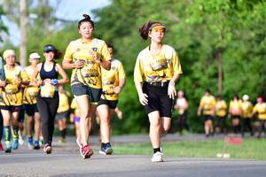 BIB: 1075, 1020
                            <button type="button" onclick="openModal(5145395)" class="btn btn-primary btn-sm float-right btn-popup" data-toggle="modal" data-target=".modal-high-quality">
                        <i class="fas fa-shopping-cart"></i> Add to Cart
                    </button>
                                            <button type="button" onclick="isThisMe(5145395, true)" class="btn btn-success btn-sm float-right btn-popup btn-isme hidden" data-toggle="tooltip" data-placement="bottom" title="นี่คือรูปของคุณใช่ไหม คลิกที่นี่เพื่อเอาเข้าอัลบั้ม">
                        <i class="fas fa-plus"></i> Add to album
                    </button>
                    <button type="button" onclick="isThisMe(5145395, false)" class="btn btn-warning btn-sm float-right btn-popup btn-isnotme hidden">
                        <i class="fas fa-ban"></i> Remove from album
                    </button>