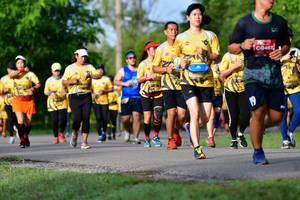 BIB: 
                            <button type="button" onclick="openModal(5146060)" class="btn btn-primary btn-sm float-right btn-popup" data-toggle="modal" data-target=".modal-high-quality">
                        <i class="fas fa-shopping-cart"></i> Add to Cart
                    </button>
                                            <button type="button" onclick="isThisMe(5146060, true)" class="btn btn-success btn-sm float-right btn-popup btn-isme hidden" data-toggle="tooltip" data-placement="bottom" title="นี่คือรูปของคุณใช่ไหม คลิกที่นี่เพื่อเอาเข้าอัลบั้ม">
                        <i class="fas fa-plus"></i> Add to album
                    </button>
                    <button type="button" onclick="isThisMe(5146060, false)" class="btn btn-warning btn-sm float-right btn-popup btn-isnotme hidden">
                        <i class="fas fa-ban"></i> Remove from album
                    </button>