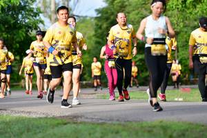 BIB: 
                            <button type="button" onclick="openModal(5145726)" class="btn btn-primary btn-sm float-right btn-popup" data-toggle="modal" data-target=".modal-high-quality">
                        <i class="fas fa-shopping-cart"></i> Add to Cart
                    </button>
                                            <button type="button" onclick="isThisMe(5145726, true)" class="btn btn-success btn-sm float-right btn-popup btn-isme hidden" data-toggle="tooltip" data-placement="bottom" title="นี่คือรูปของคุณใช่ไหม คลิกที่นี่เพื่อเอาเข้าอัลบั้ม">
                        <i class="fas fa-plus"></i> Add to album
                    </button>
                    <button type="button" onclick="isThisMe(5145726, false)" class="btn btn-warning btn-sm float-right btn-popup btn-isnotme hidden">
                        <i class="fas fa-ban"></i> Remove from album
                    </button>